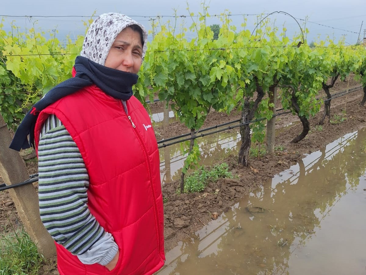 Sarıgöl'de Sağanak Bağlara Hayat Verdi