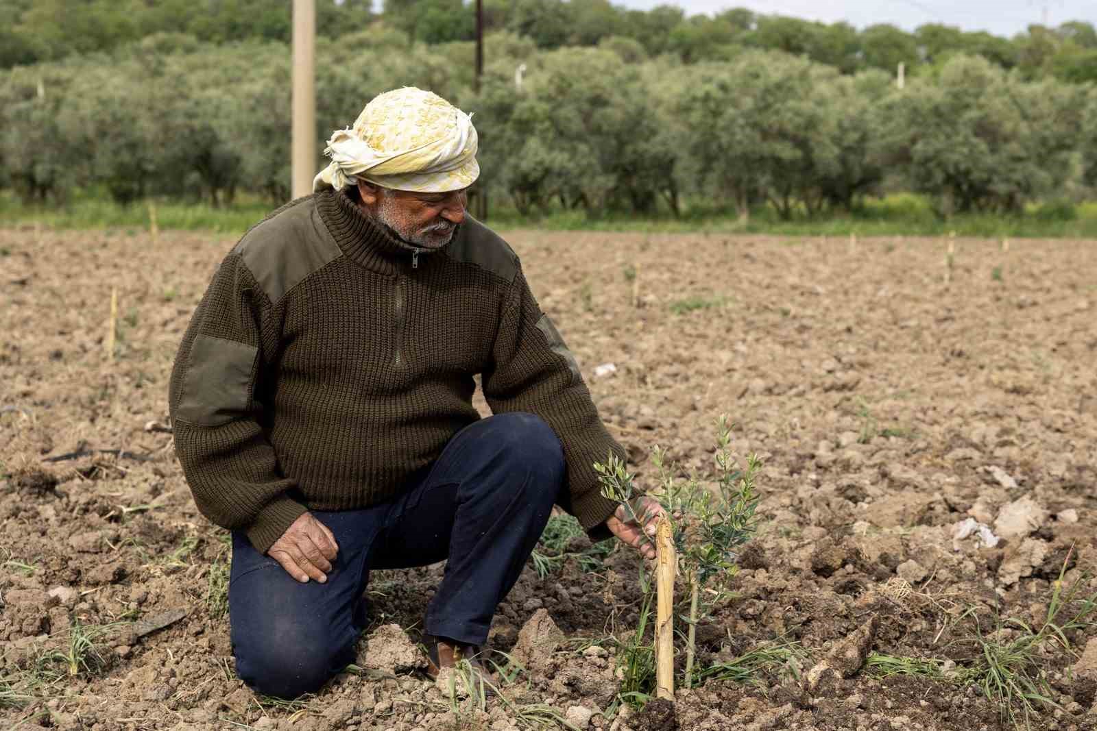 Yunusemre’de Fidanlar Dikiliyor