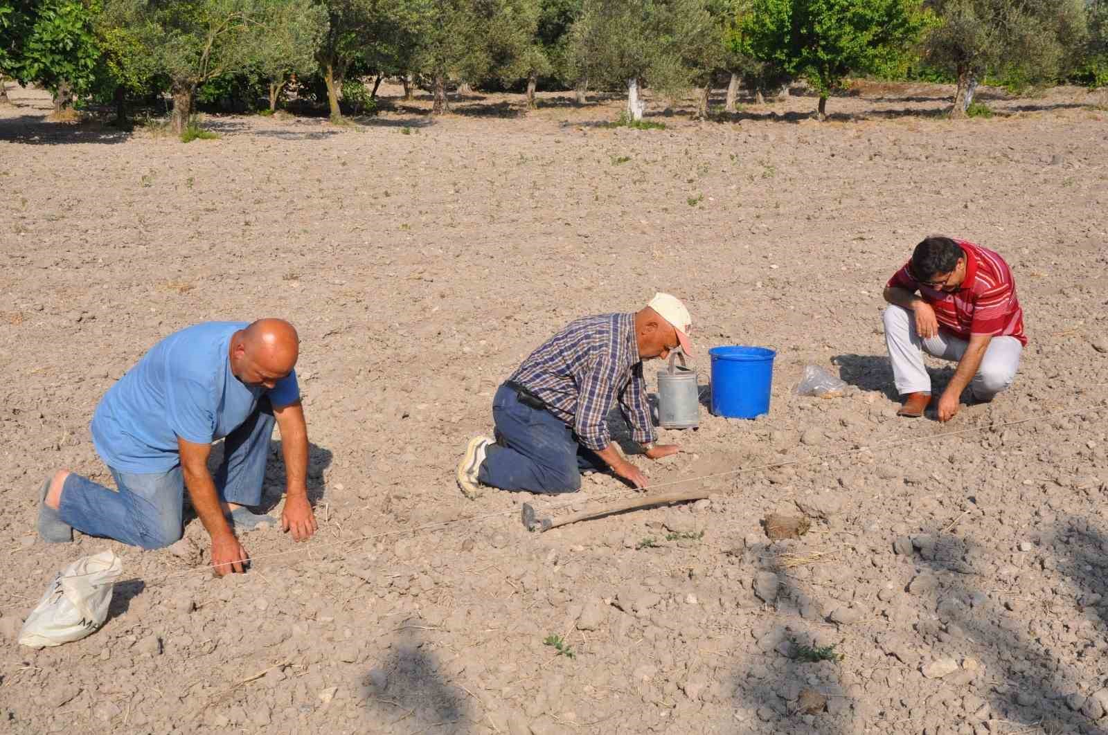 Ata Tohumuyla Yetişen Kırkağaç Kavunu Toprakla Buluştu