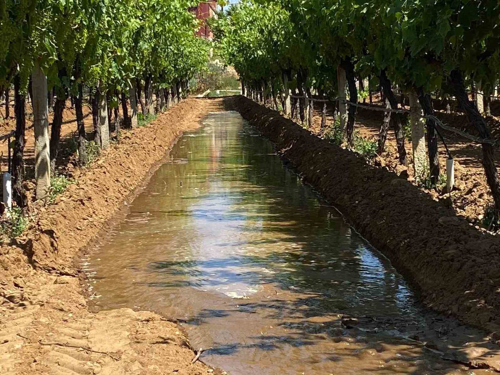 Sarıgöl Bağlarında Yeni Sezon Sulama Mesaisi Başladı
