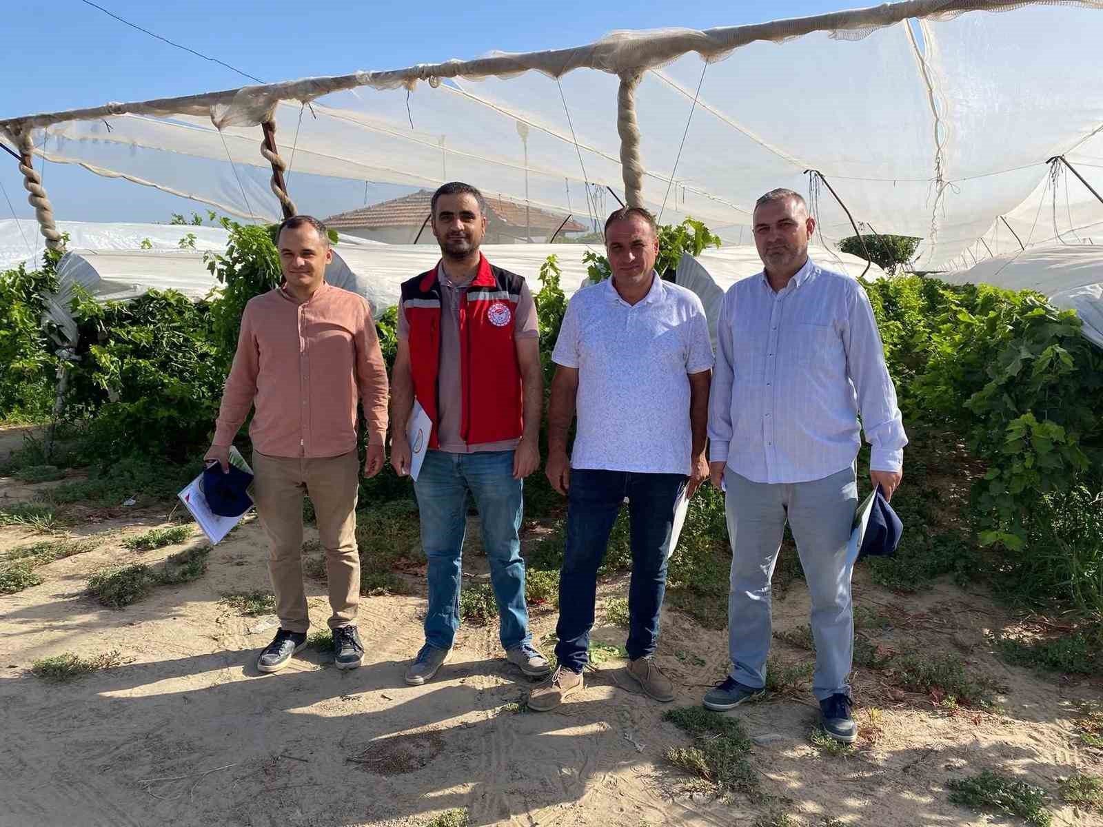 Sarıgöl’de Yeni Sezon Rekolte Çalışmaları Başladı