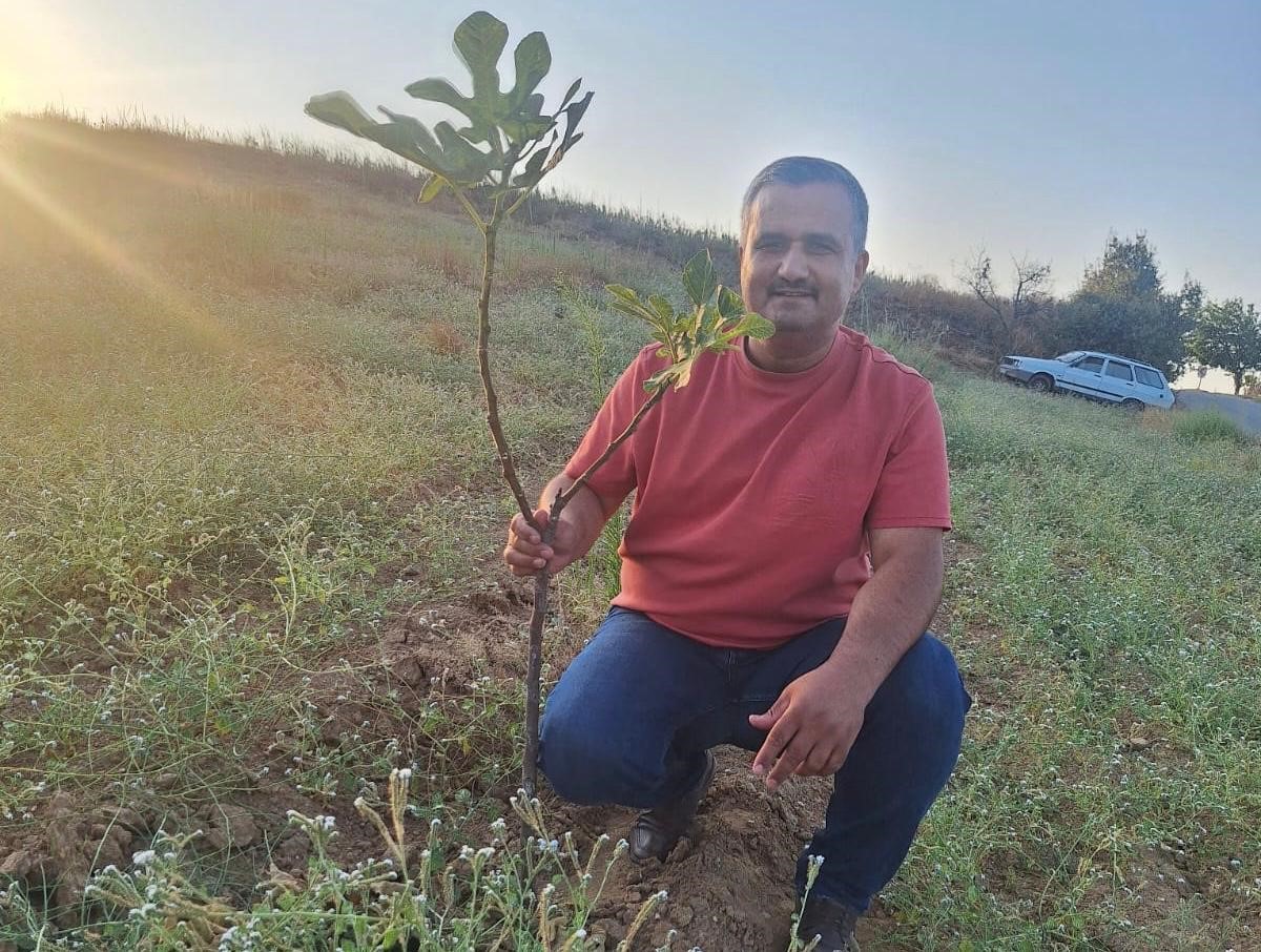 Kırsal Bölgelerde Sarılop İncir Dikimi Yaygınlaşıyor