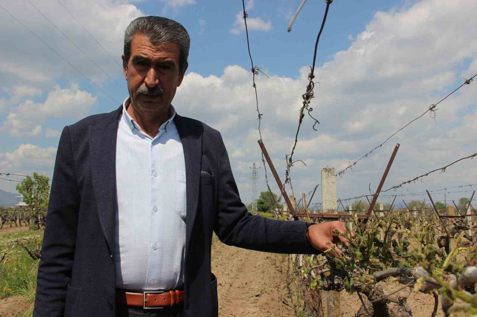 Ziraat Odası Başkanı Altındağ'dan Uyarı:"İzmir artık önlemini alsın"