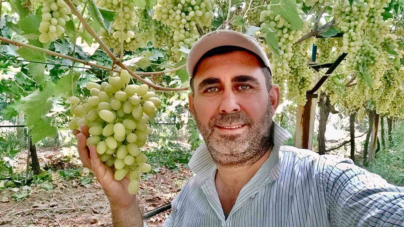 Koruma Altında Yetişen Sarıgöl Üzümleri 65 Liradan Alıcı Buldu