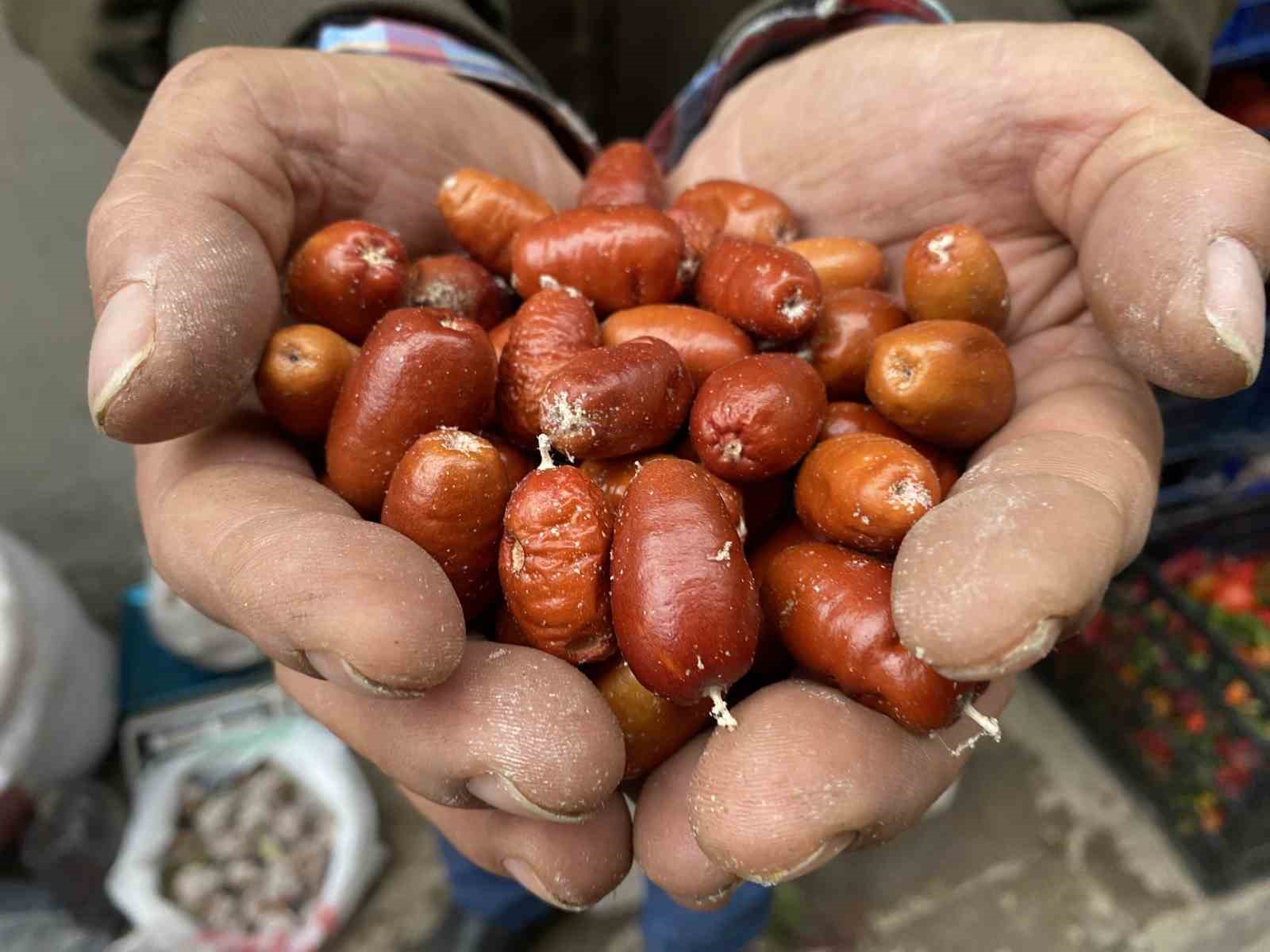 Alaşehir’de İğde Ağaçları Tükeniyor: Kilosu 200 TL’den Alıcı Buluyor